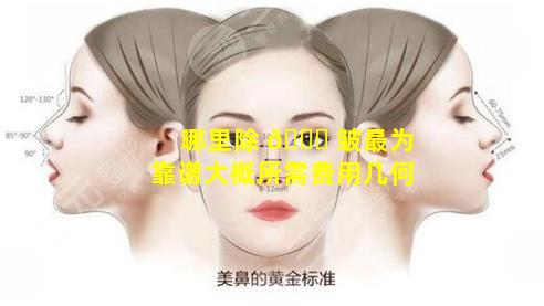 哪里除 🐋 皱最为靠谱大概所需费用几何